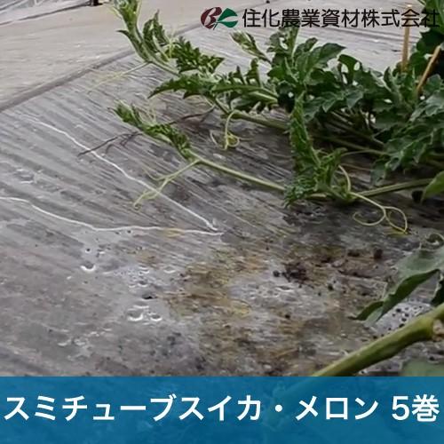 住化農業資材 灌水チューブ スミチューブスイカ・メロン WB1032 200M