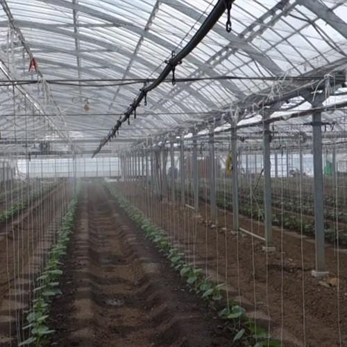 住化農業資材 灌水チューブ ミストエース20ハウスクール02L WB1091