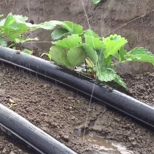 住化農業資材 灌水チューブ スミチューブウエシタ小水量 WB1034 200M