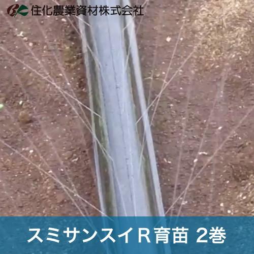 住化農業資材 灌水チューブ スミサンスイR育苗 WB1063 100M × 2巻 
