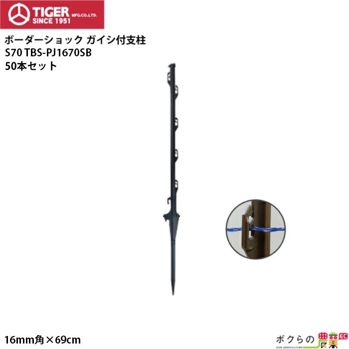 タイガー（TIGER） ガイシ付支柱 S70 50本入 直径16mm角 全長69cm TBS