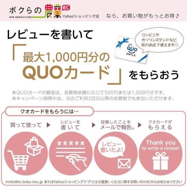 受注生産　納期別途ご案内　畜産用　中　カラー　緑　家畜　養豚　畜産　酪農　37200　大　牧畜　産業動物　豚　畜産用品　小　牛衣　牛