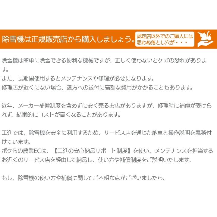 今季販売終了 工進 除雪機 SR-350 オスカル 24V ブレード 除雪機 家庭用 充電式 KOSHIN コーシン | 工進 | 08