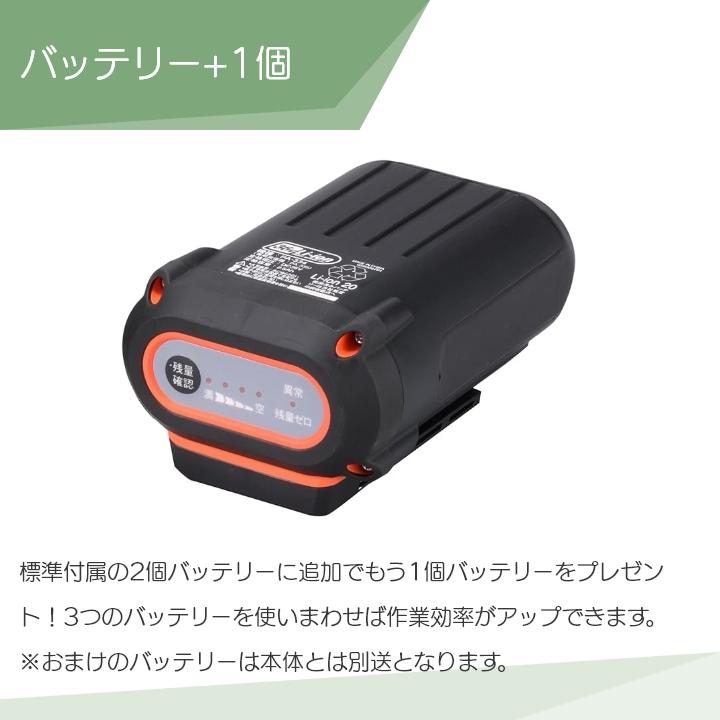 工進（KOSHIN） 電動噴霧器 充電式噴霧器 噴霧器 SMS-360RT25