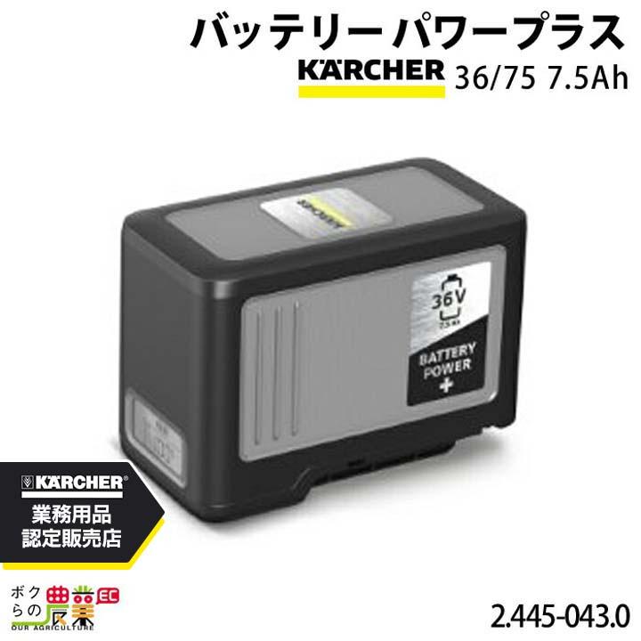 ケルヒャー（KARCHER） バッテリー 36/75 2.445-043.0 パワープラス