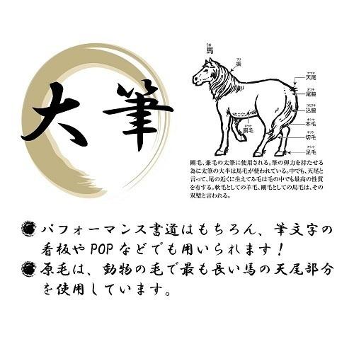 あかしや(文具) 書道パフォーマンス 特大筆 江山風月 15号 あかしや(文具) 書道パフォーマンス 特大筆 江山風月 15号