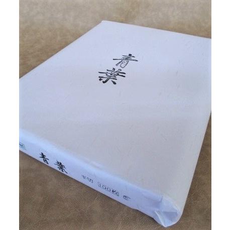 書道用品 書道 大きい 紙の作品 大きな紙で書道作品6枚完了 田中伸一オフィシャルブログ お父さん 気づいたね Powered by Ameba
