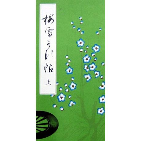 墨運堂 梅雪かな帖(上) 書道用品 全31ページ 安藤聖空先生監修 教材