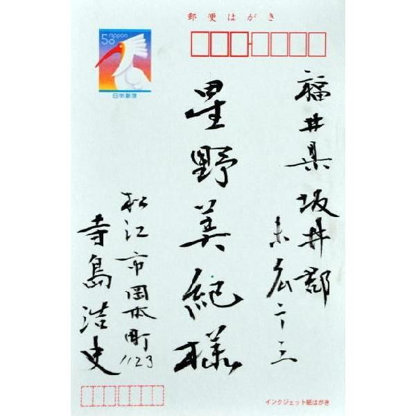 期間限定送料無料 送料無料 毛筆手書き年賀状 両面 ８０枚 宛名書き 新年挨拶 筆耕 注文制作 独創的 Www Thedailyspud Com