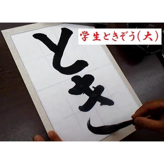 習字 太筆 学生ときぞう(中) 10本セット 書道用品 熊野筆 書道筆