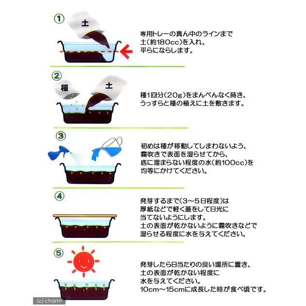 うさちゃん用大麦若葉栽培セット6回分｜bokusoichiba｜03