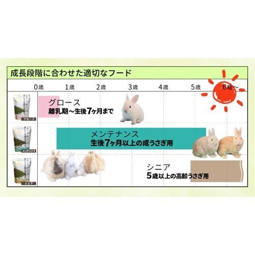 牧草市場 【お試し用サイズ】牧草市場 スーパーラビットフード