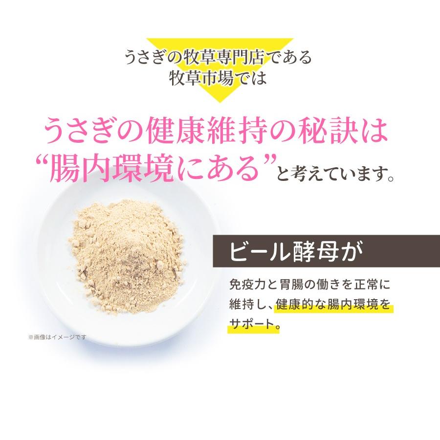 【送料無料】牧草市場 チモシーのチカラ ハイファイバー 1kg | 牧草市場 | 08