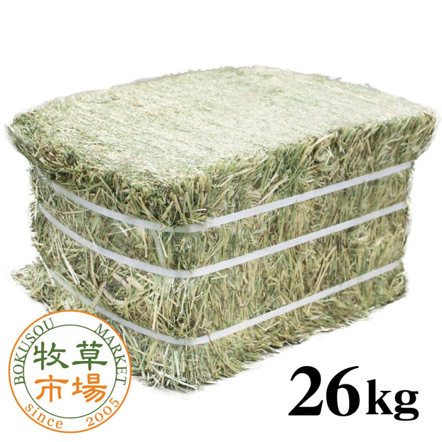 牧草市場 カナダ産プレミアムチモシー1番刈り 約26kg 【ベール販売