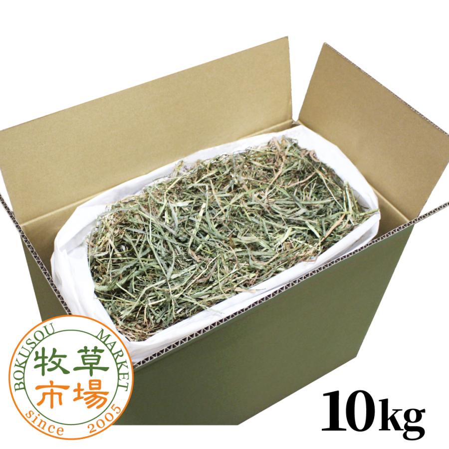 牧草市場 カナダ産 プレミアム チモシー 2番刈り 10kg 袋入【ymt
