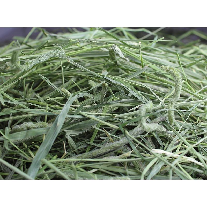 【令和5年度産新刈り】牧草市場 スーパープレミアム チモシー 1番刈り 牧草 3kg (500g×6パック)｜bokusoichiba｜03