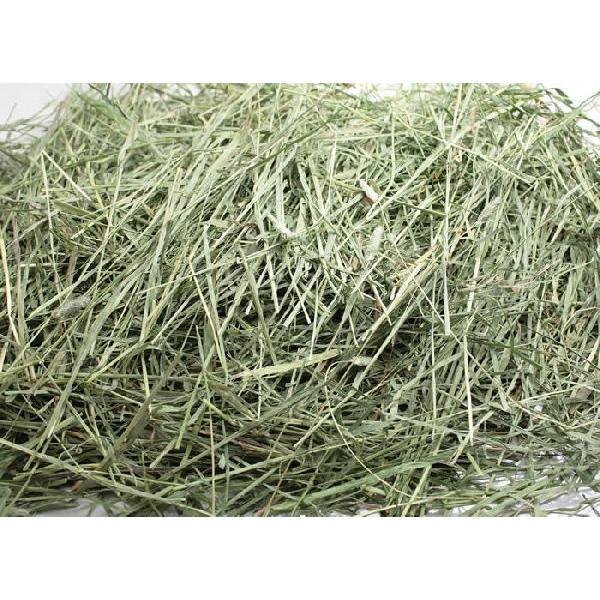 牧草市場 USチモシー 2番刈り 牧草 ダブルプレス 500g｜bokusoichiba｜02