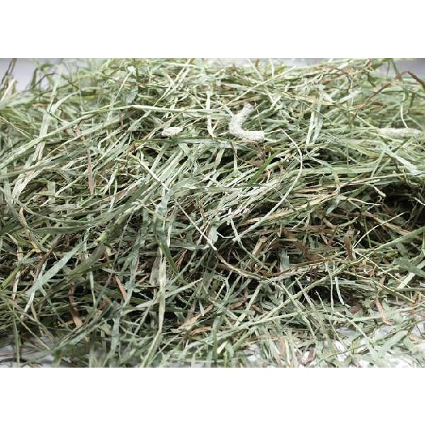 牧草市場 USチモシー 2番刈り 牧草 ソフトタイプ 20kg袋入【sg