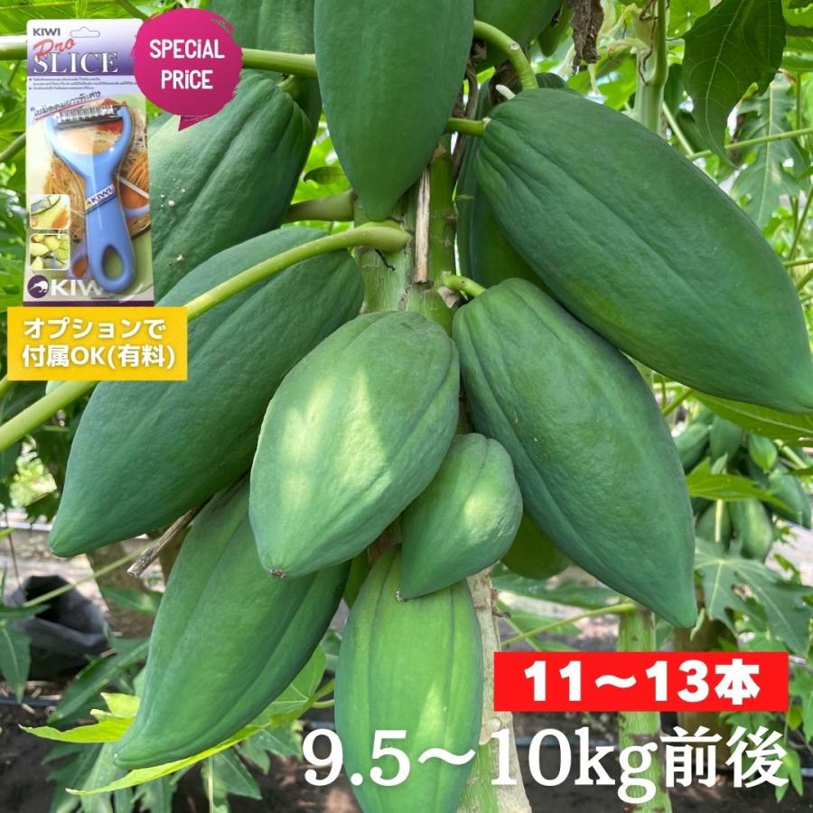 タイ品種 青パパイヤ 9.5〜10kg前後 国産 千葉県産 野菜 酵素 スーパー