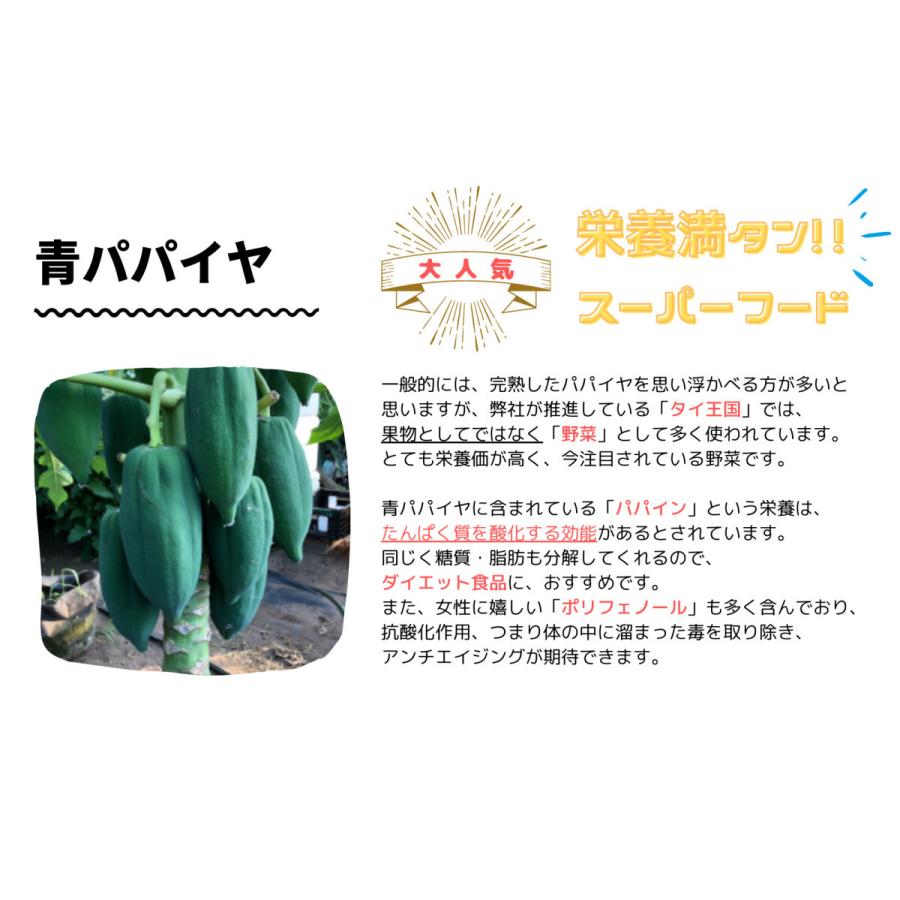 タイ品種 青パパイヤ 9.5〜10kg前後 国産 千葉県産 野菜 酵素 スーパー