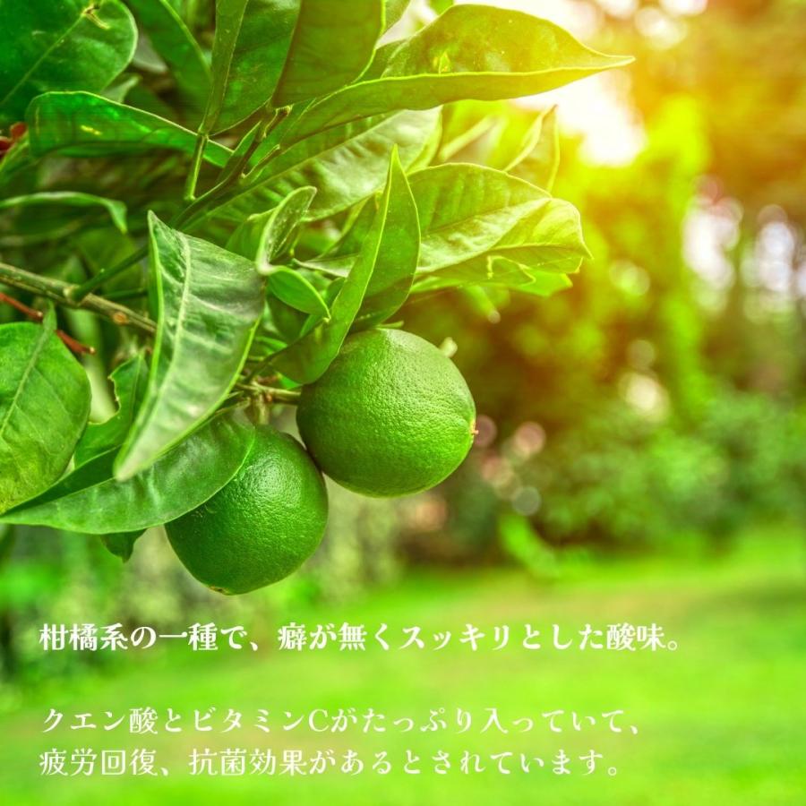 マナオ（タイライム）苗 30cm前後 タイ ライム 果実 エスニック 料理 送料無料 : BOKUZOU Yahoo!店 - 通販 ...