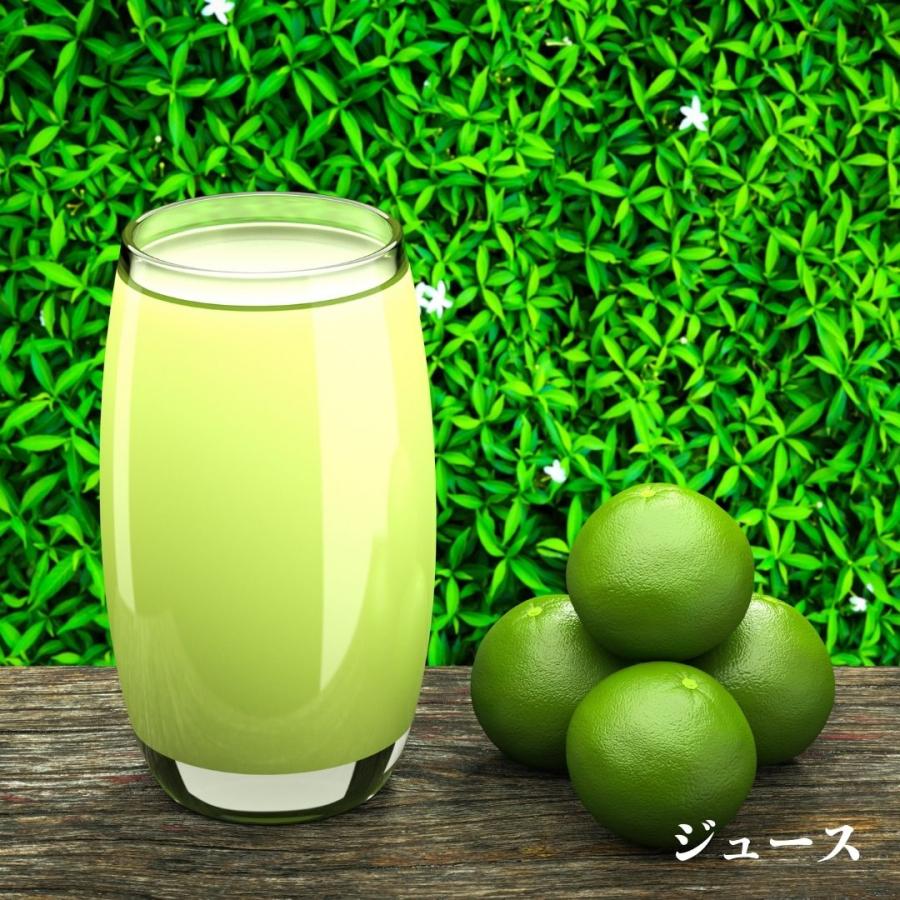 マナオ（タイライム）苗 30cm前後 タイ ライム 果実 エスニック 料理 送料無料 : BOKUZOU Yahoo!店 - 通販 ...