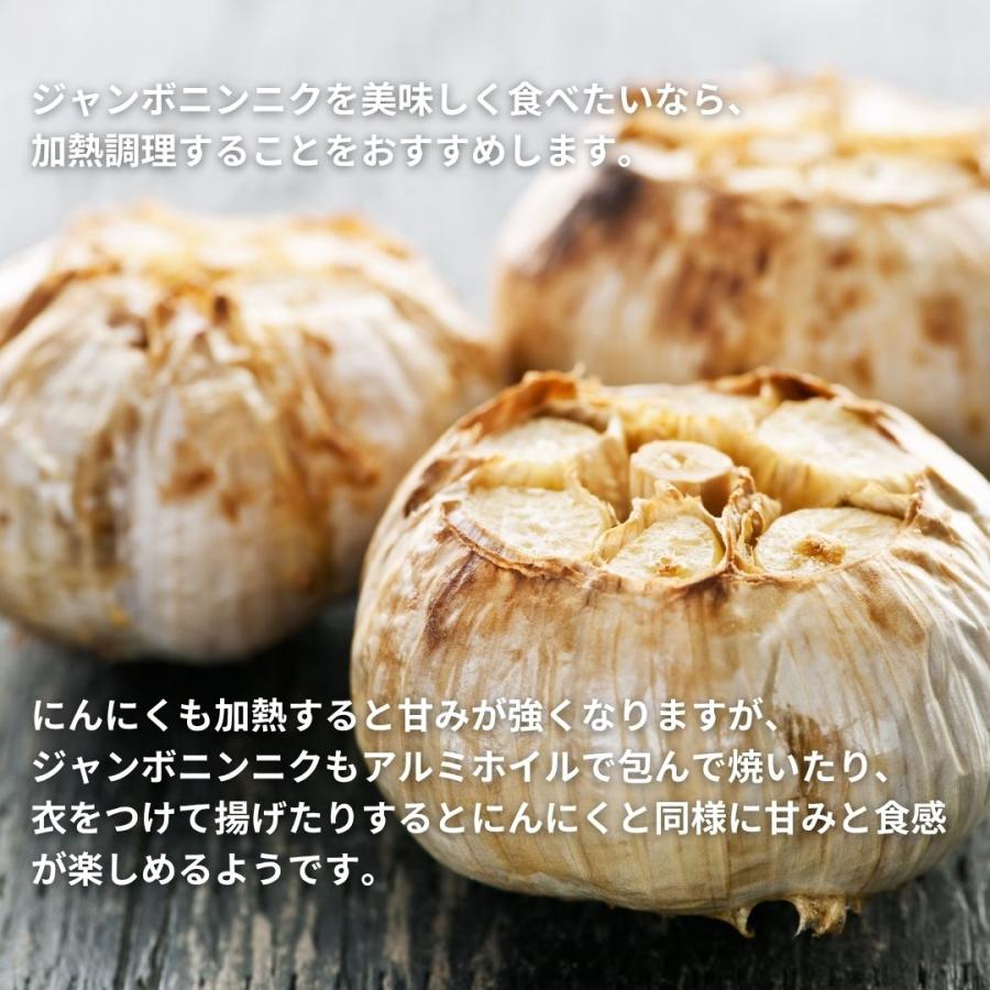ジャンボにんにく 苗 20本 ニンニク 種用 栽培用 野菜 香味野菜 栽培