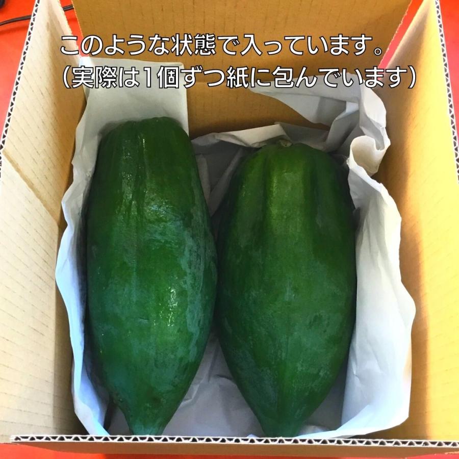 タイ品種 青パパイヤ 1〜1.5Kg前後 （2本前後）国産 千葉県産 野菜