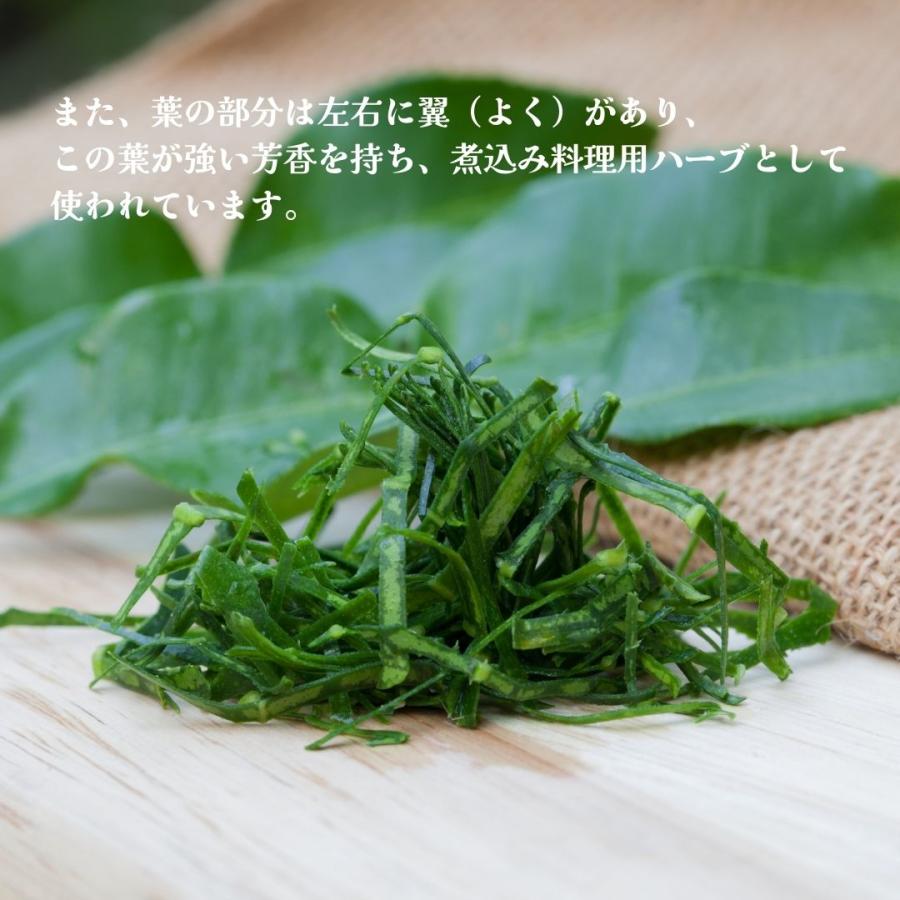 コブミカン（トンマックル）20cm前後 苗 タイ エスニック 料理