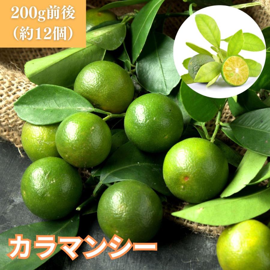 カラマンシー（実）200g前後（約12個）フィリピン 柑橘 果実