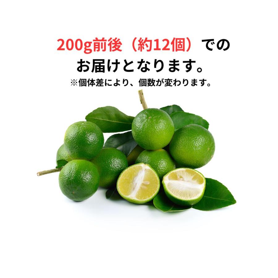 カラマンシー（実）200g前後（約12個）フィリピン 柑橘 果実