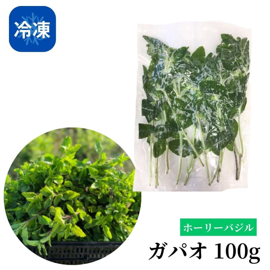冷凍】生ガパオ（ホーリーバジル）100g タイ 野菜 フレッシュハーブ