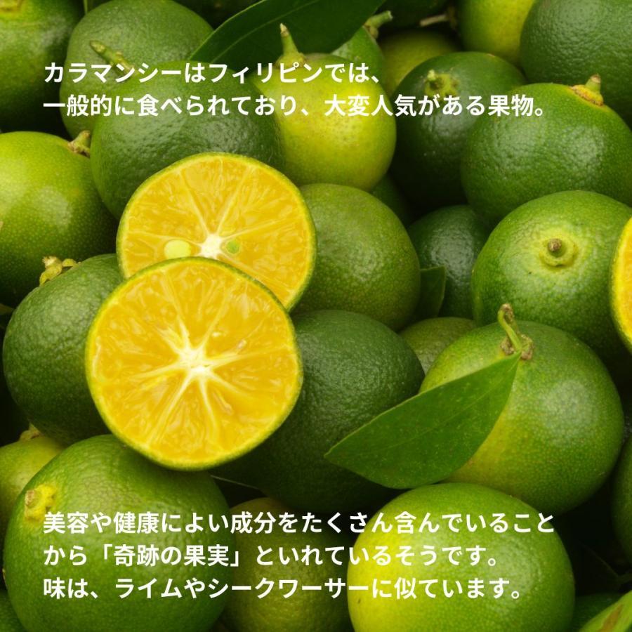 冷凍】カラマンシー 370g（25個入り）四季柑 柑橘 南国フルーツ