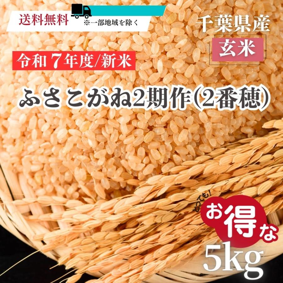 再入荷！ 令和7年度 新米 千葉県産【玄米】ふさこがね 2番穂（2期作