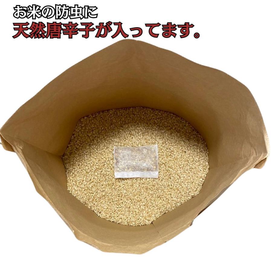 令和8年度 新米 ふさこがね（玄米）5kg 豊作の為値下げいたしました