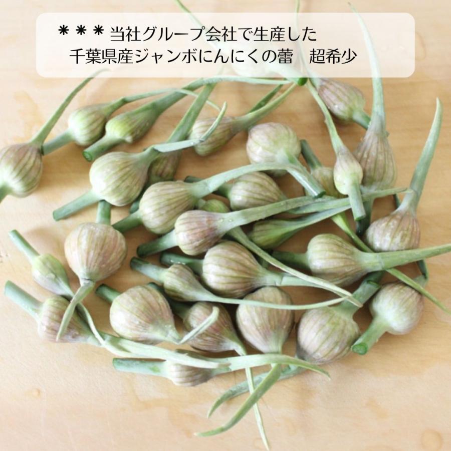 ジャンボにんにくの蕾 100g ジャンボ にんにく 野菜ニンニクの蕾 野菜