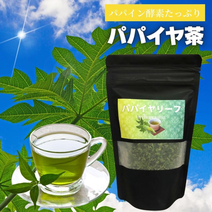 パパイン酵素 たっぷり パパイヤリーフ ティー 40g（茶葉）青パパイヤ