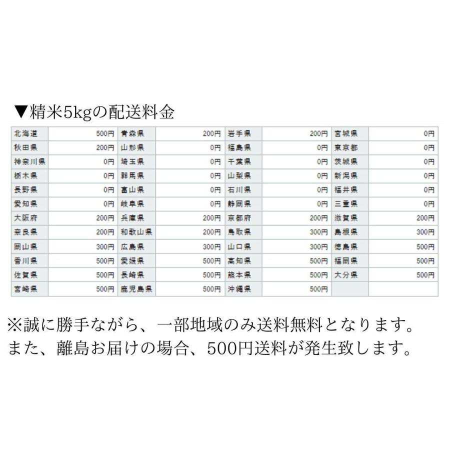 高級　GOLDEN PHOENIX　タイ米　もち米　5kg　アジアン食品　料理　外国産　米　精米　タイ　カオニャオ　ゴールデンフェニックス　外国産米 | 木徳神糧 | 03