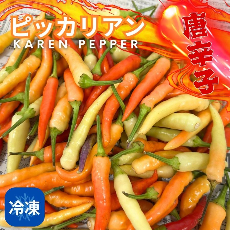 冷凍】ピッカリヤン Karen pepper 300g 生唐辛子 タイ 唐辛子 激辛