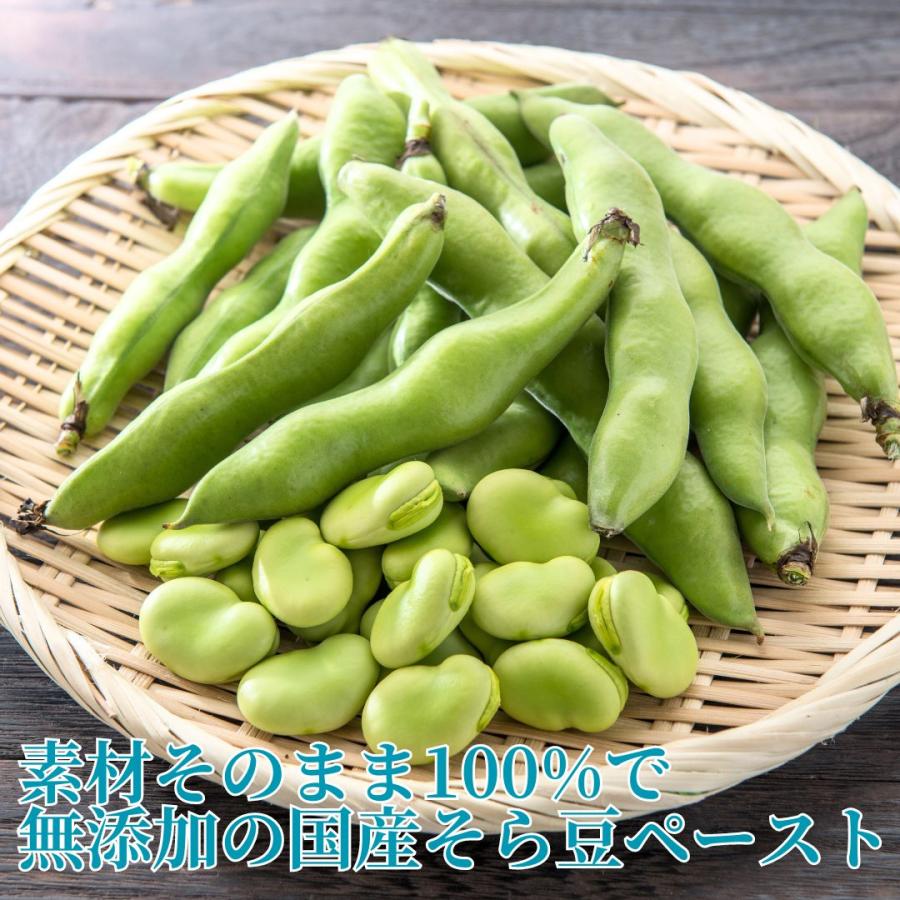 冷凍】国産 そら豆(ペースト)200g 国産 野菜 豆 スープ 冷凍】国産 そら豆(ペースト)200g 国産 野菜 豆 スープ