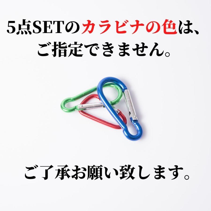 アウトドア用品5点セット カラビナ 5点セット カラフル キーホルダー アウトドア用品 釣り