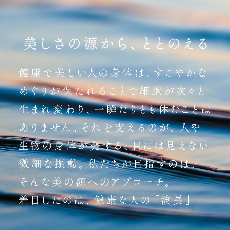 正規代理店 ufv ドライヤー 速乾 大風量(58m/秒) 軽量260g 風量/温度