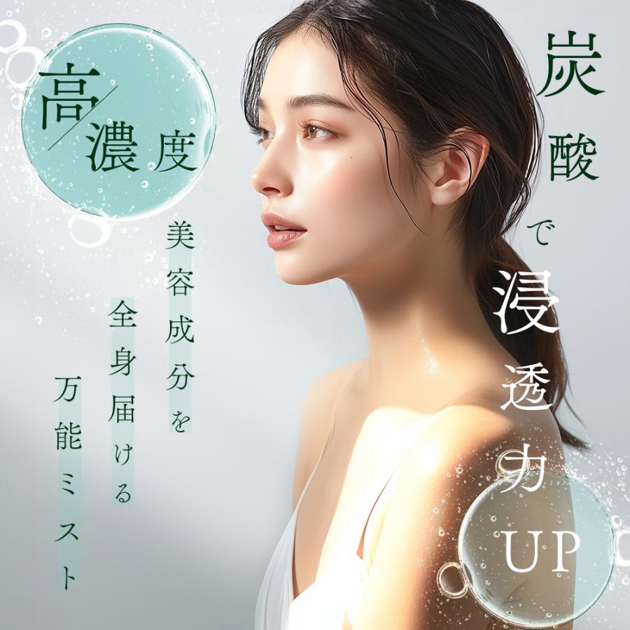Reーviii 【正規販売店】 レヴィミストローション LOUVREDO ミスト