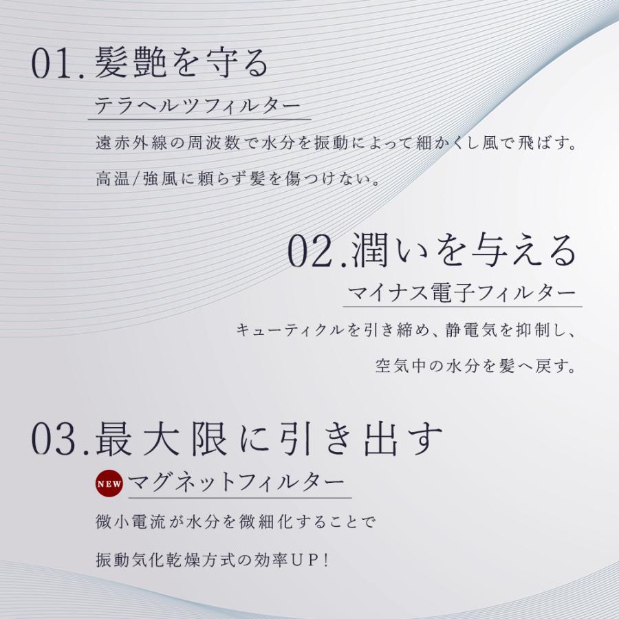 FUKUGEN 正規代理店 復元 ドライヤー Pro8 ルーヴルドー 日本製 LJ