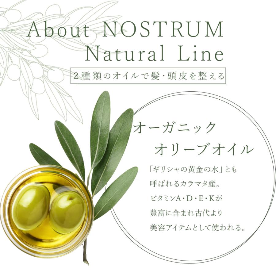 シャンプー コンディショナー セット 300ml＋300ml NOSTRUM オーガニック ノンシリコン ヘアケア 自然由来 無添加 母の日 ギフト｜bollina｜08