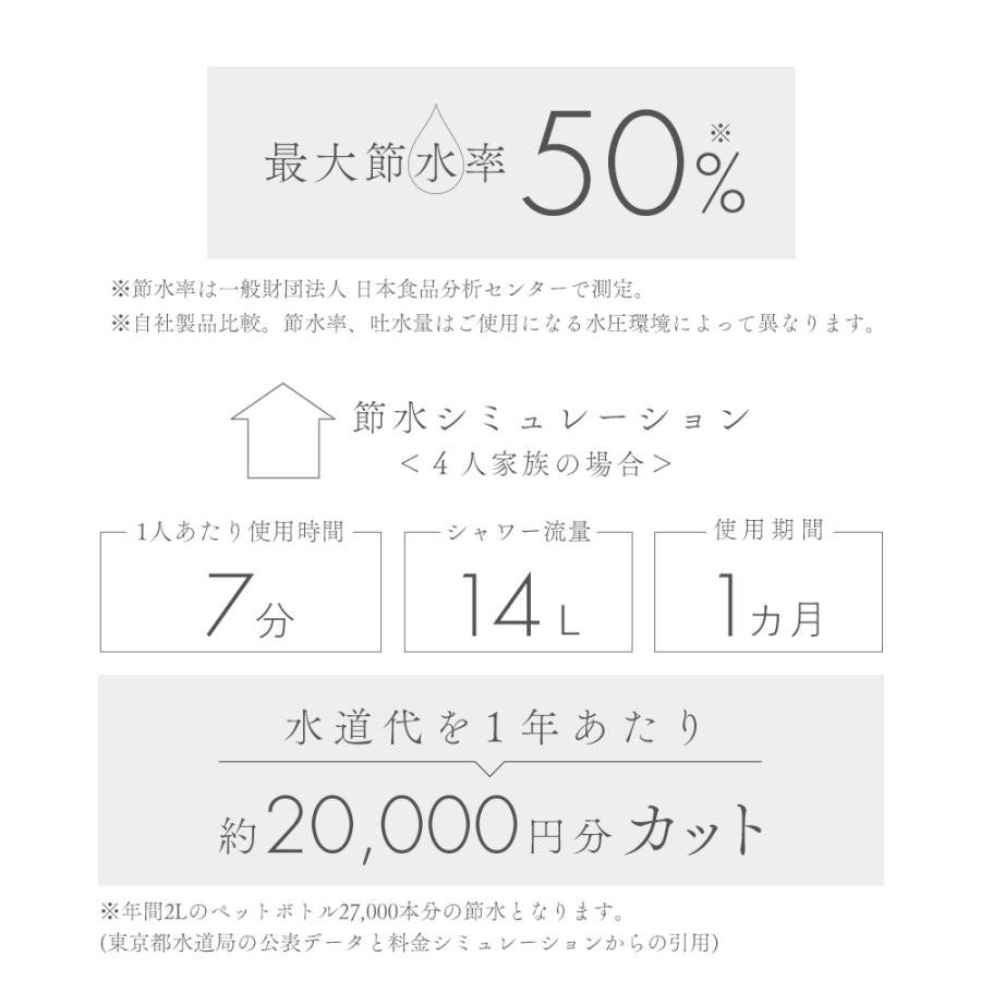 シャワーヘッド ボリーナ ワイド マイクロバブル ナノバブル 節水 シャワー ファインバブル 美容 ギフト 公式限定 Bollina TK-7007 Wideパールの画像