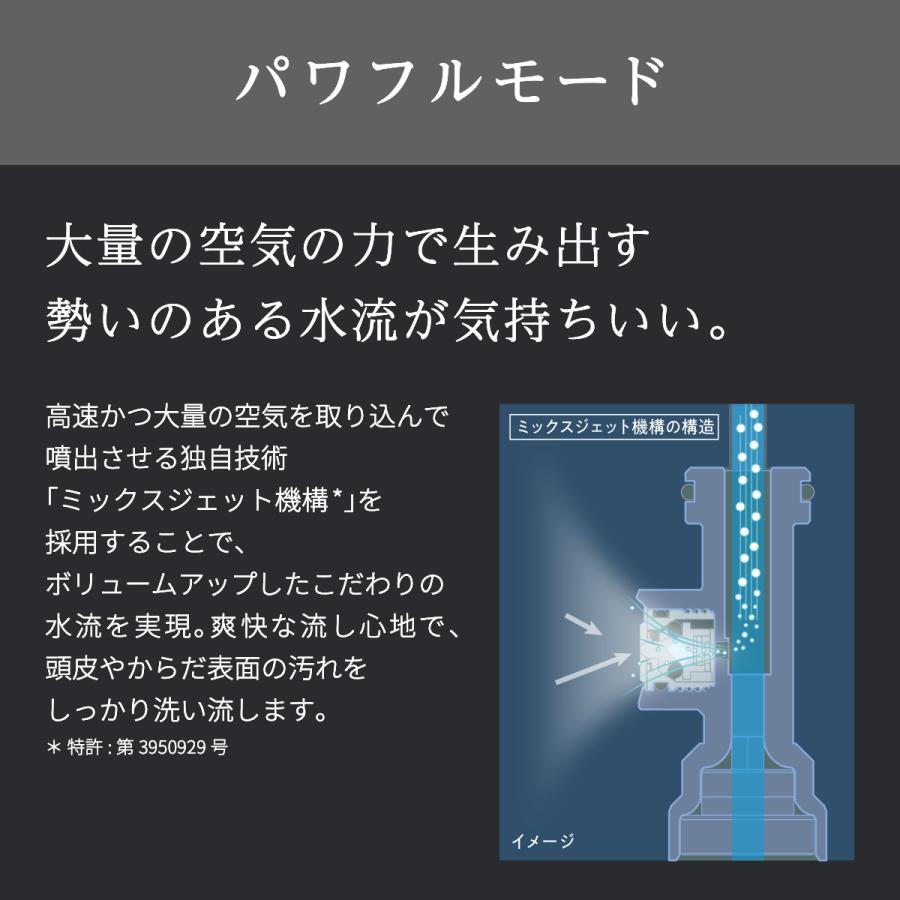 Bollina（ボリーナ） シャワーヘッド アヴァンティ マイクロ