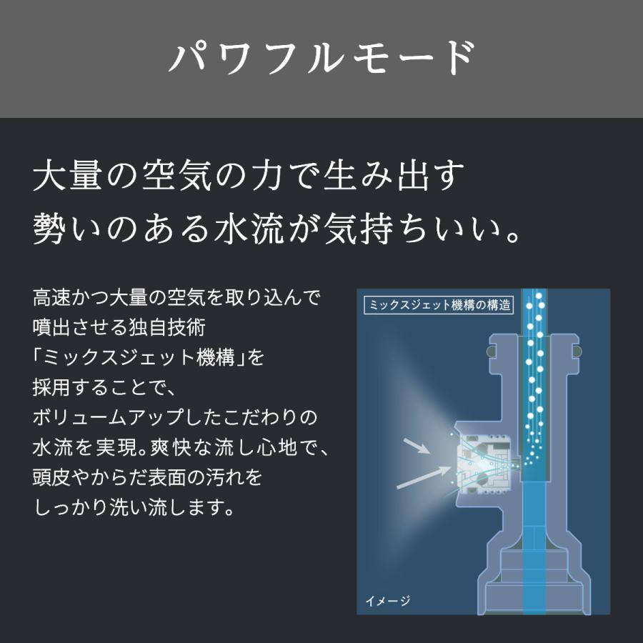 Bollina（ボリーナ） シャワーヘッド アヴァンティ マイクロ