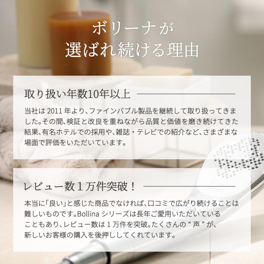 Bollina（ボリーナ） シャワーヘッド アヴァンティ マイクロ
