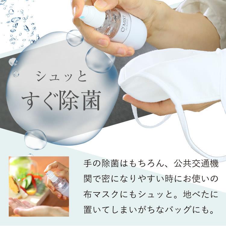 【20%OFF!!】 メーカー公式 オースリーミスト 水だけで 除菌 脱臭 オゾン水 生成器 田中金属 日本製 母の日 ギフト O3-mist｜bollina｜21